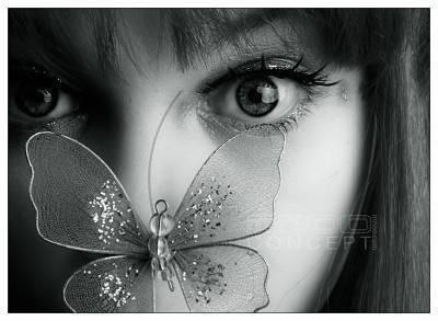 ������ ����� ����� ���� �������